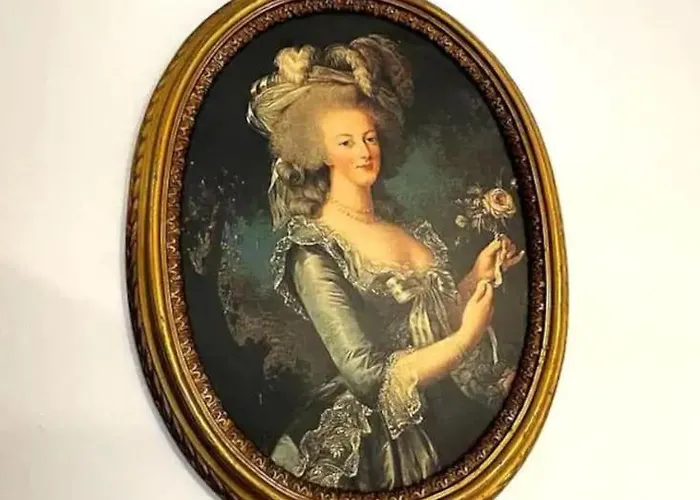 E Fauvette De Standing Avec Terrasse